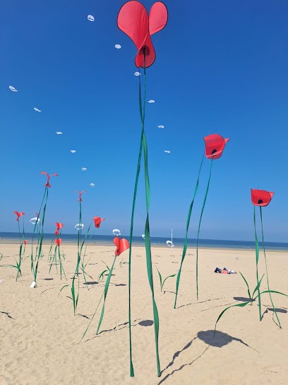 PRIMA BEAUTE, Agence de Travail Intérimaire à Paris 12