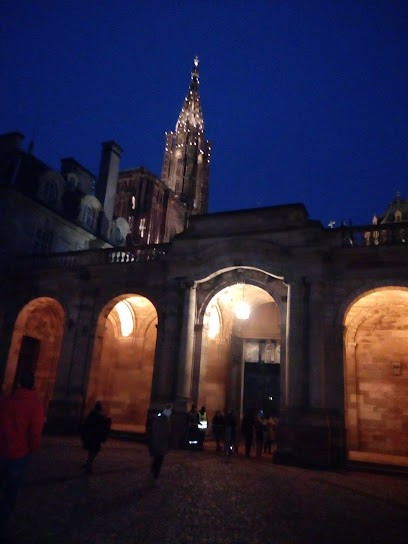 G.A.M. Intérim, Agence de Travail Intérimaire à Strasbourg