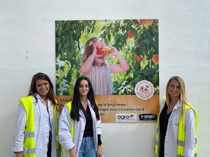 Mistertemp' Intérim Vauvert, Agence de Travail Intérimaire à Vauvert