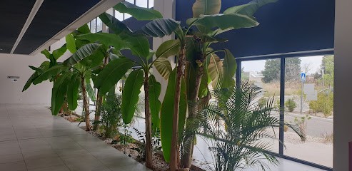 Agency Interim Synergie, Agence de Travail Intérimaire à Sorgues