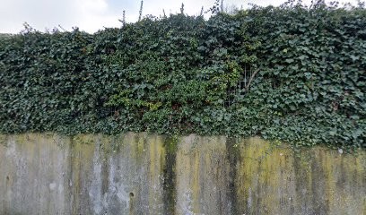 Agence d'intérim Randstad - Tournon, Agence de Travail Intérimaire à Tournon-sur-Rhône