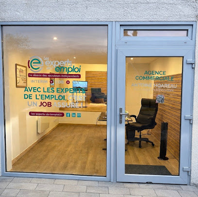 Antoine Hoareau - Les Experts De L'emploi - Interim Cdi Cdd - Besançon, Agence D'intérim à Besançon
