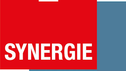Synergie Proxi Somfy Garette -Cluses, Agence D'intérim à Cluses