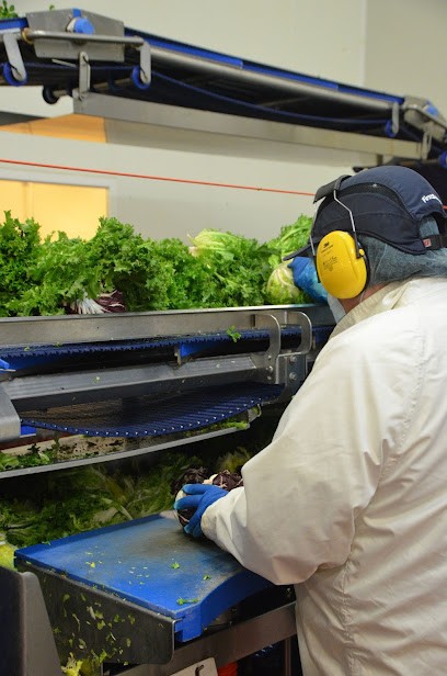 Samsic Indoors Saint-Julien, Agence de Travail Intérimaire à Saint-Julien-de-Concelles