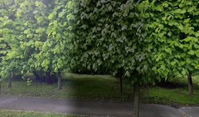 Randstad Inhouse Services, Agence de Travail Intérimaire à Villabé